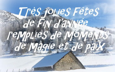 Joyeuses fêtes de fin d’année !